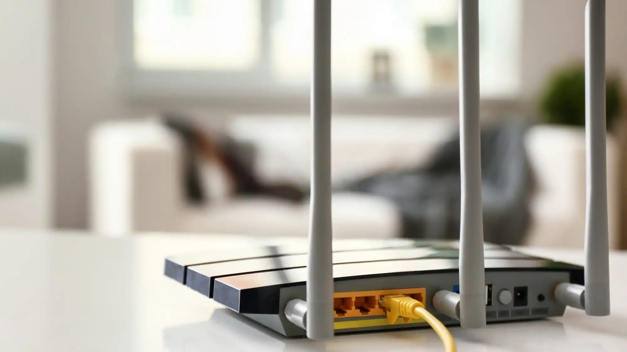 没有证据表明 TP